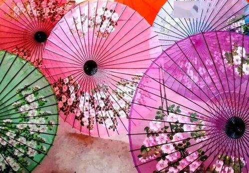 喜报 全国最佳画面作品奖
