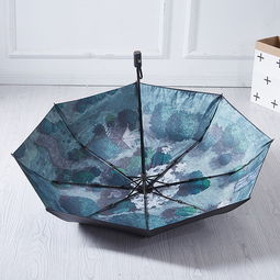 衍生品 雨伞