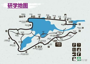 文旅融合,一场穿越千年的研学之旅