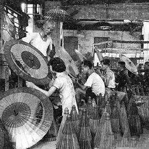 过去的5个猪年,佛山人都经历了什么?