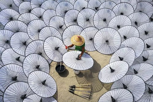 9 个月,130000 张照片,这个摄影奖公布了最终入围作品