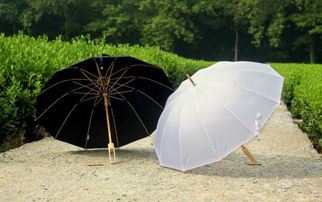 这把仅手机重量的手工竹伞却抵御了5级劲风狂雨