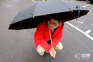六人合做一把伞 竹制匠心，雨伞亦是英雄剑——天开谷雨经典黑色竹语伞评测