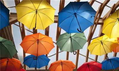 从2000元到行业第一 一把伞背后的创新与挑战