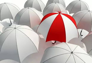 萧山这21个地方最拿得出手的特产，您也必须存一份——制伞