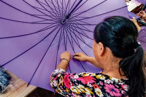 凤凰花开幸福来 她们用双手编织伞下晴空