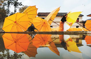 油布伞 秋色晕染下的匠心传承